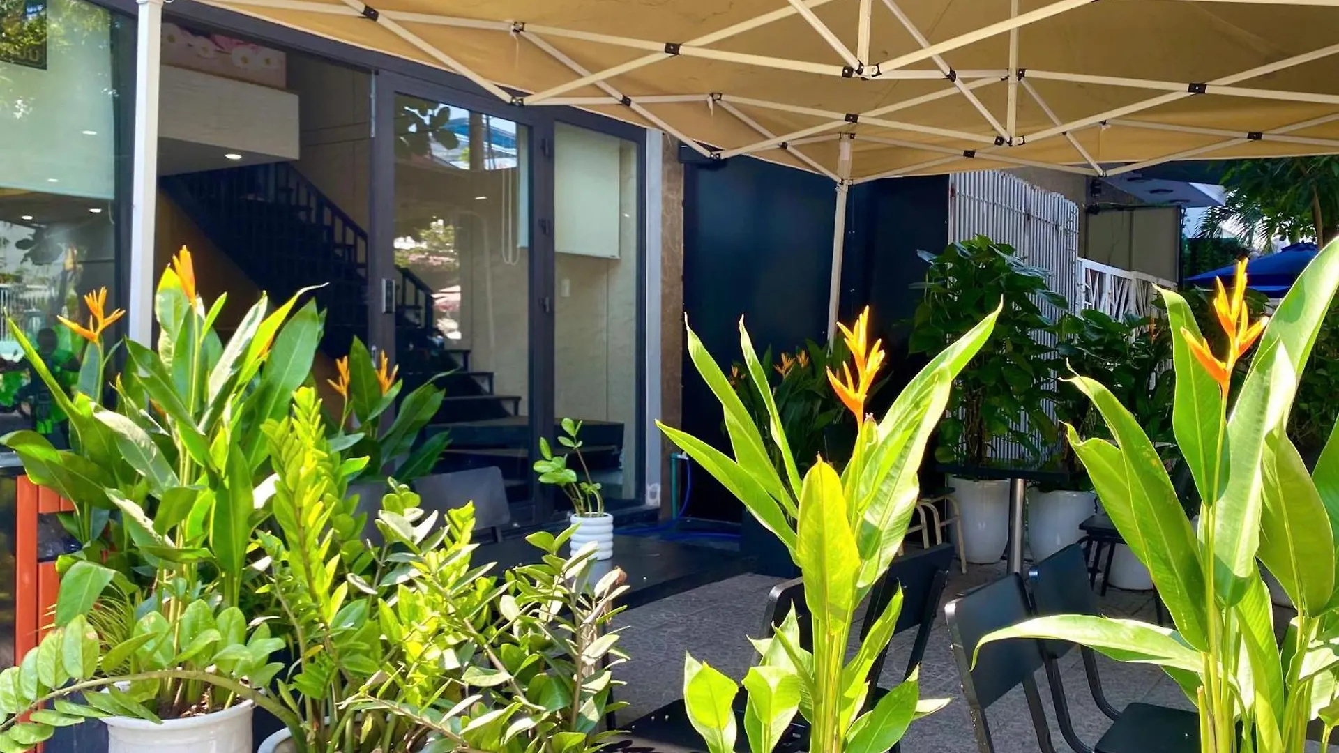 Mango House 2 Hotel Da Nang